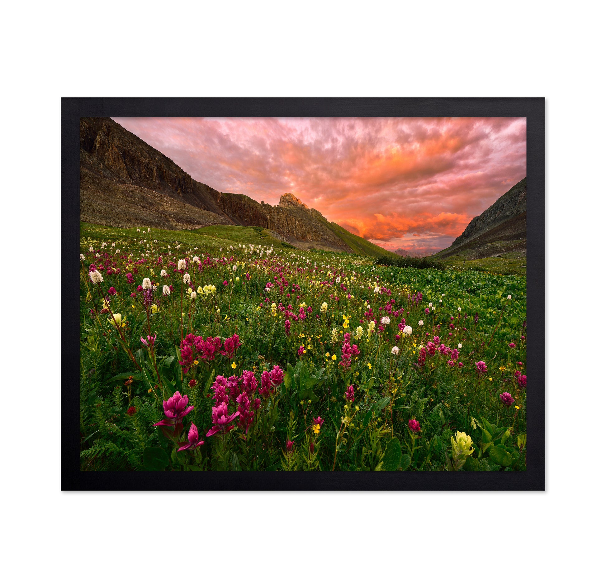 Wildflower Meadow at Sunset