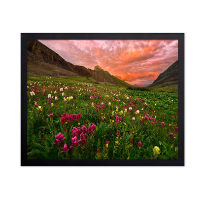Wildflower Meadow at Sunset