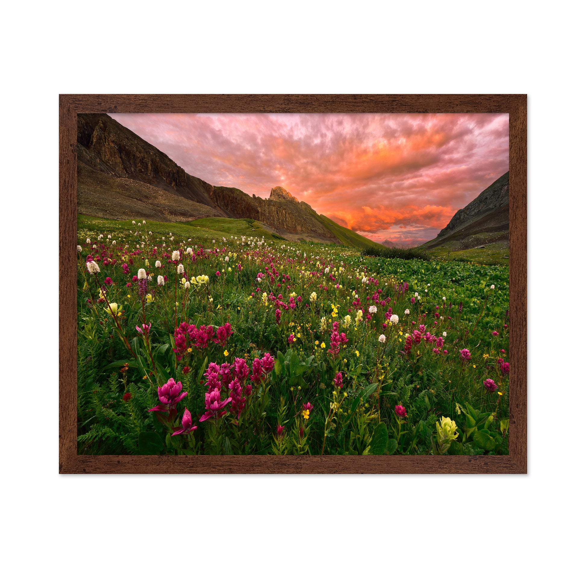 Wildflower Meadow at Sunset