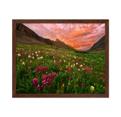 Wildflower Meadow at Sunset
