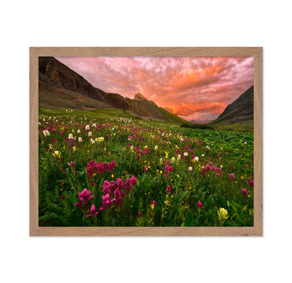 Wildflower Meadow at Sunset