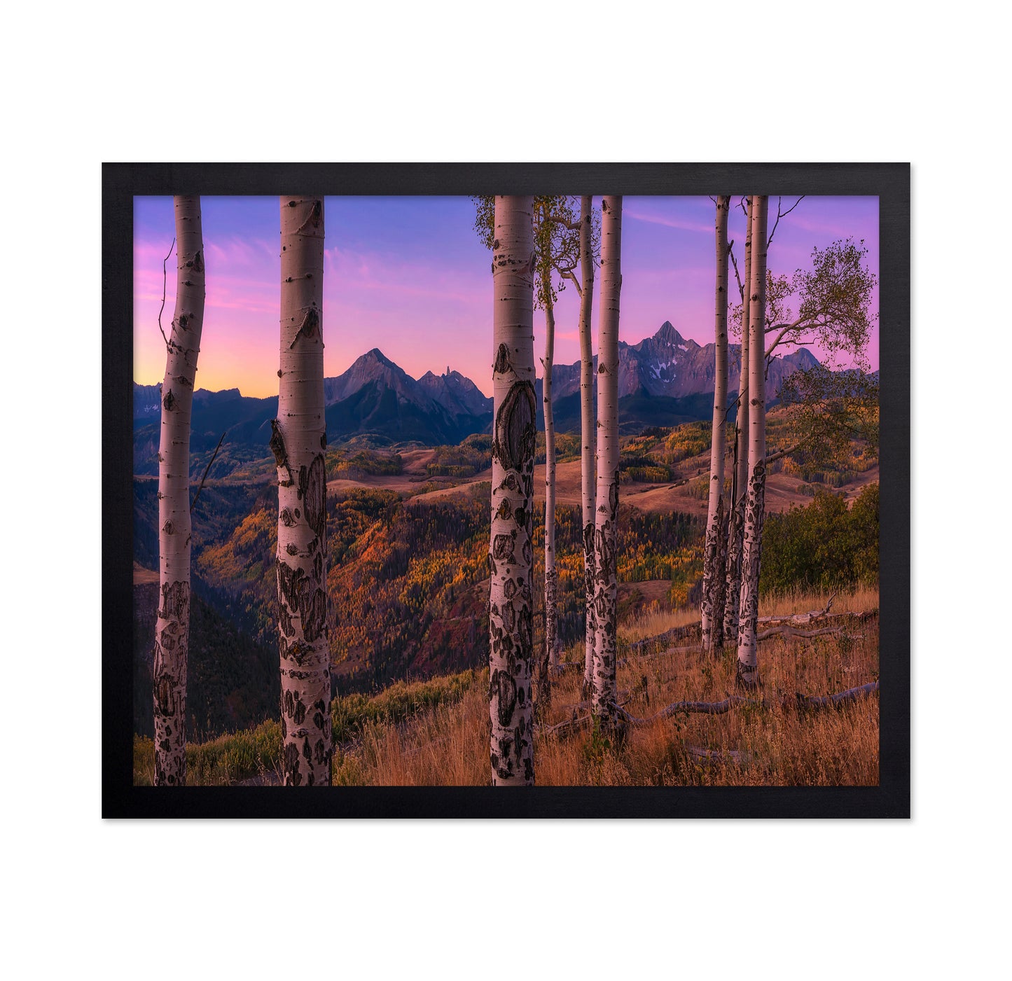 Aspen Trees Framing Mountain Peaks