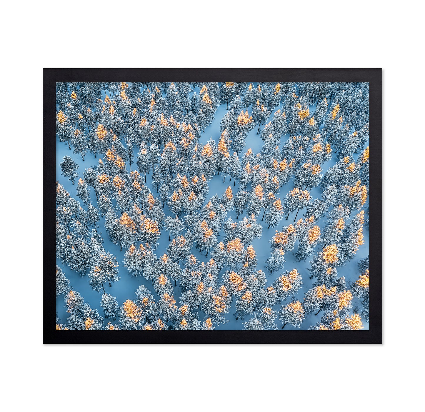 Sunlit Snow Forest Pattern