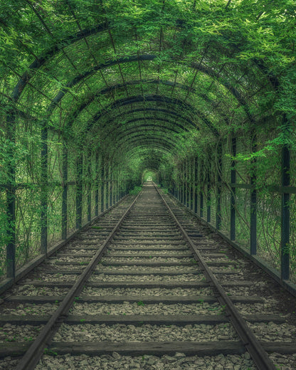 Green Railway Tunnel Path