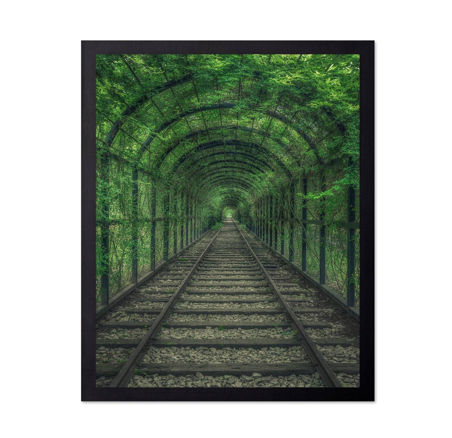 Green Railway Tunnel Path