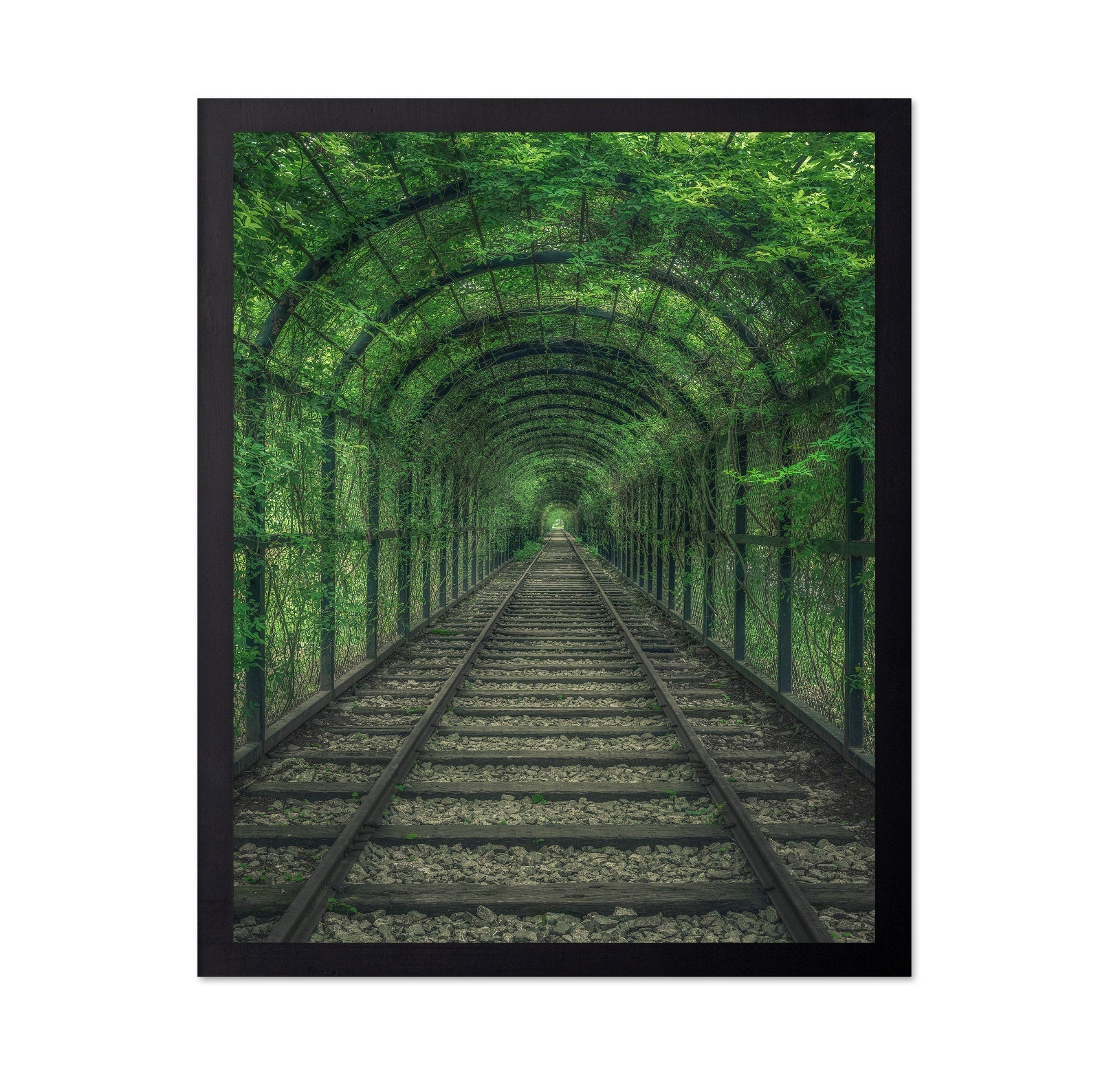 Green Railway Tunnel Path