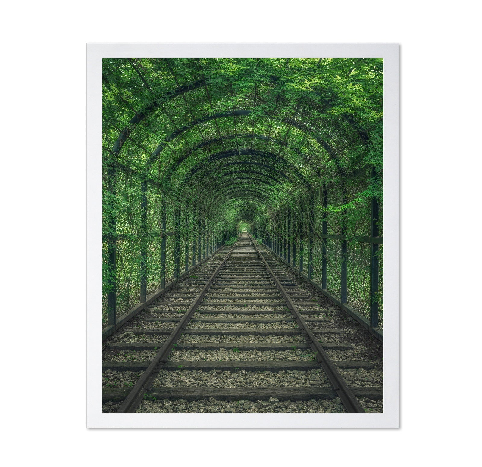 Green Railway Tunnel Path