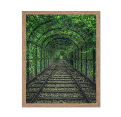 Green Railway Tunnel Path