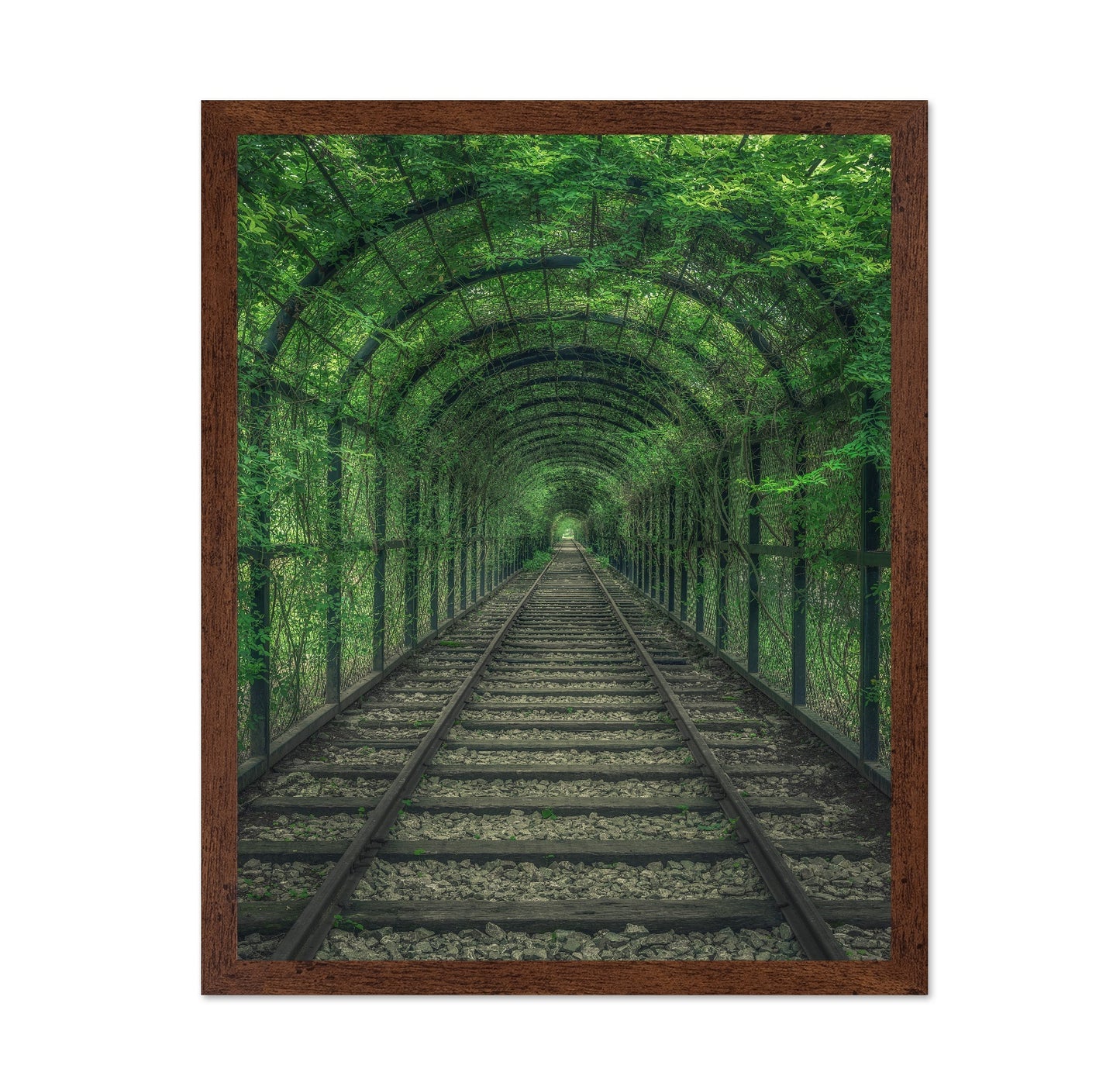 Green Railway Tunnel Path