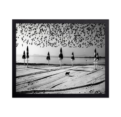 Birds Flock Over Quiet Beach