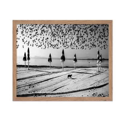 Birds Flock Over Quiet Beach