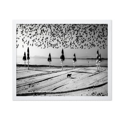 Birds Flock Over Quiet Beach