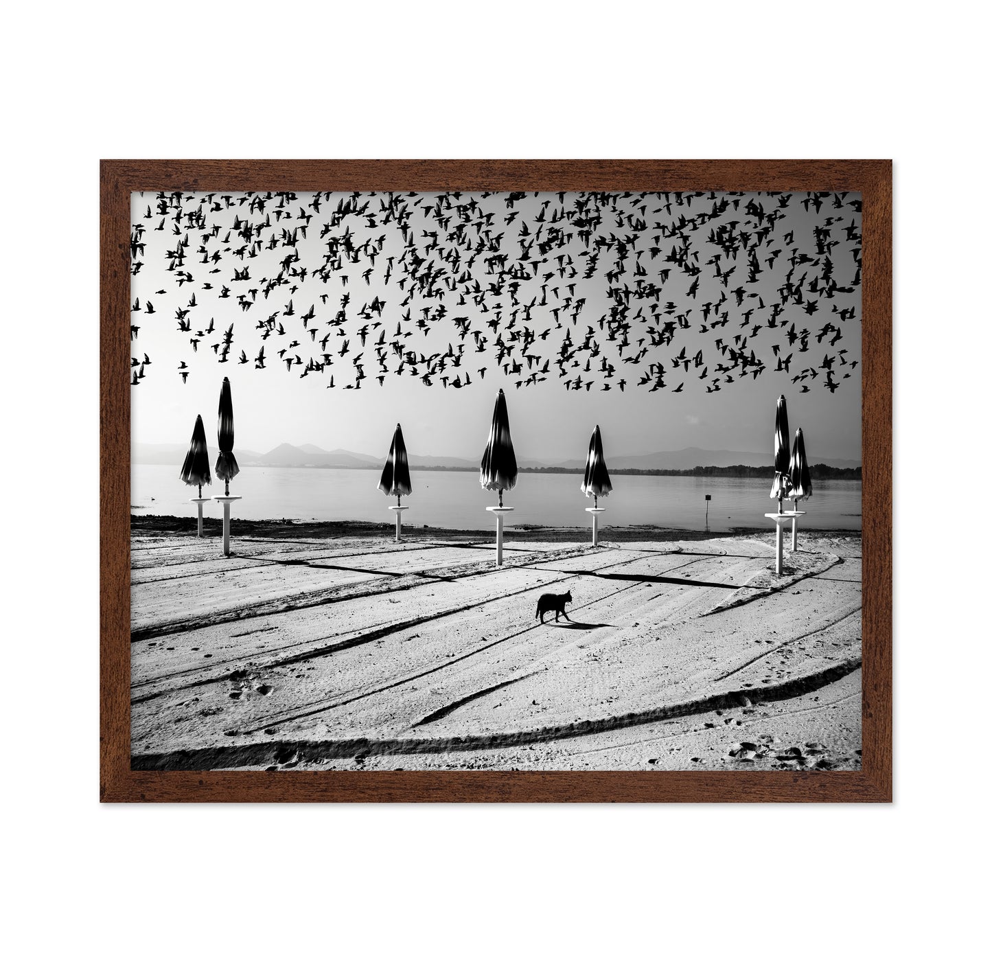 Birds Flock Over Quiet Beach
