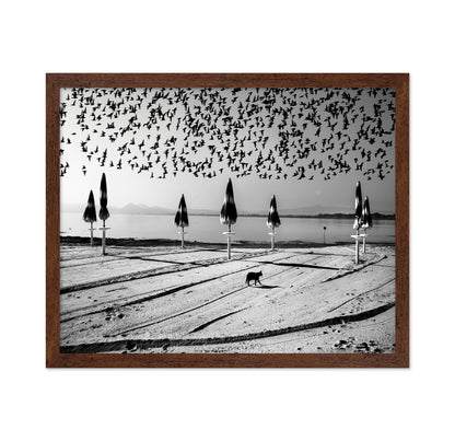 Birds Flock Over Quiet Beach