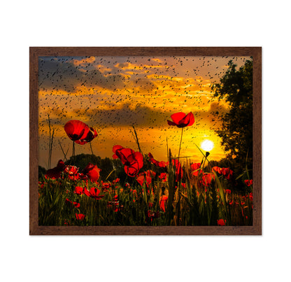 Poppy Field At Sunset Sky