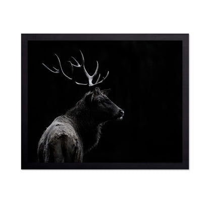 Majestic Deer In Darkness