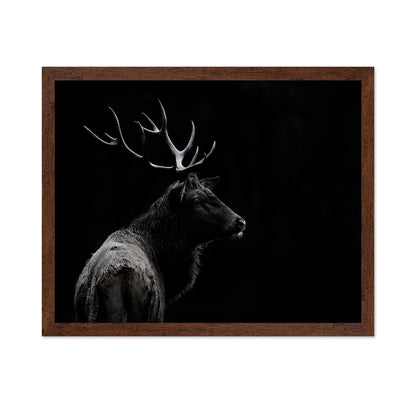 Majestic Deer In Darkness
