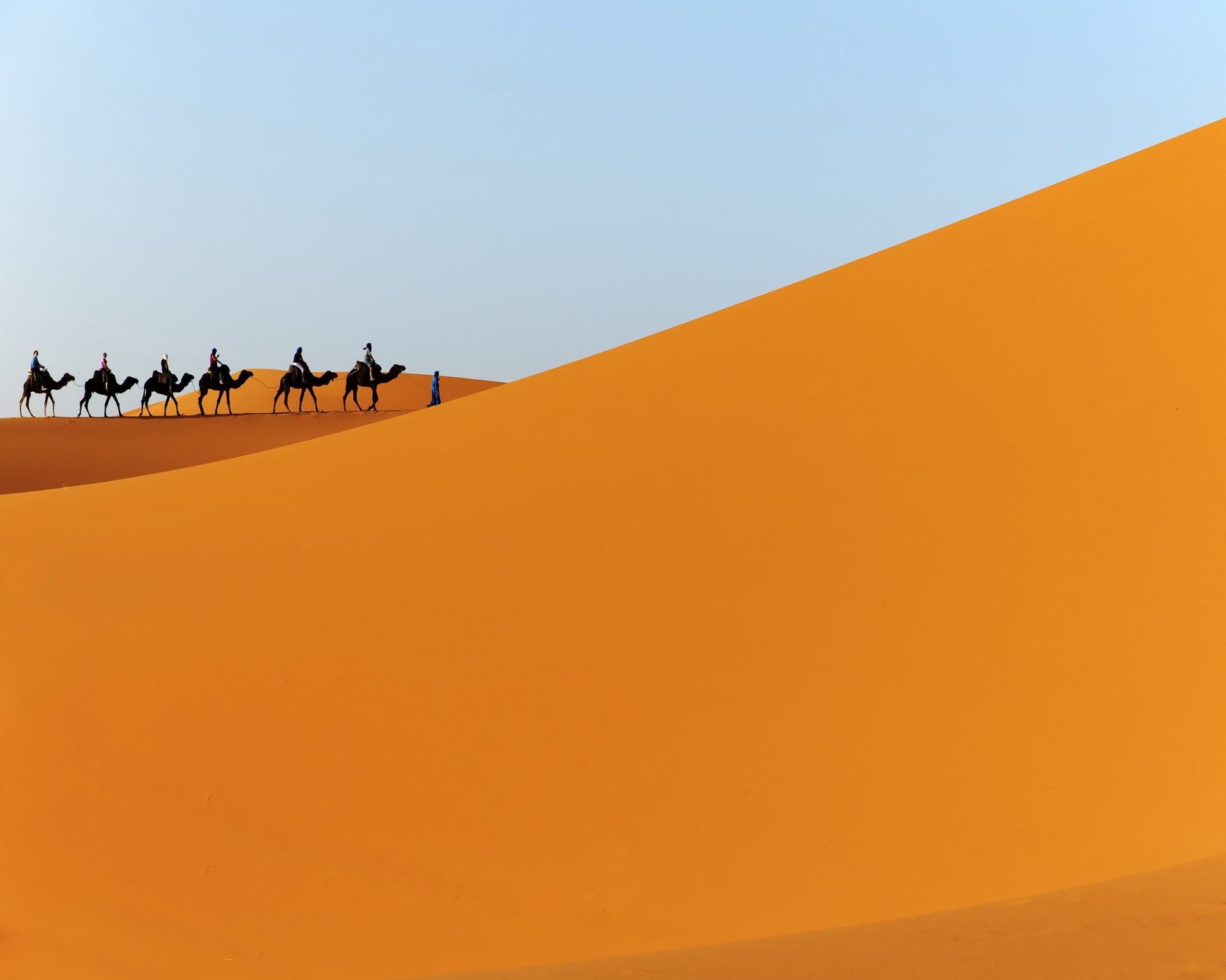 Desert Camel Caravan