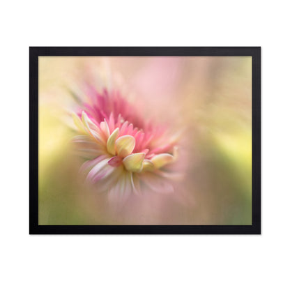 Soft Pastel Flower Macro