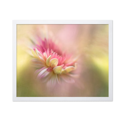 Soft Pastel Flower Macro