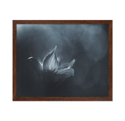 Black White Flower Light