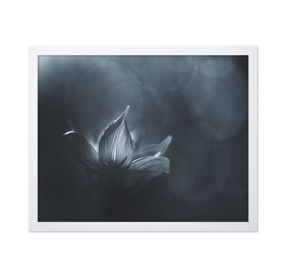 Black White Flower Light