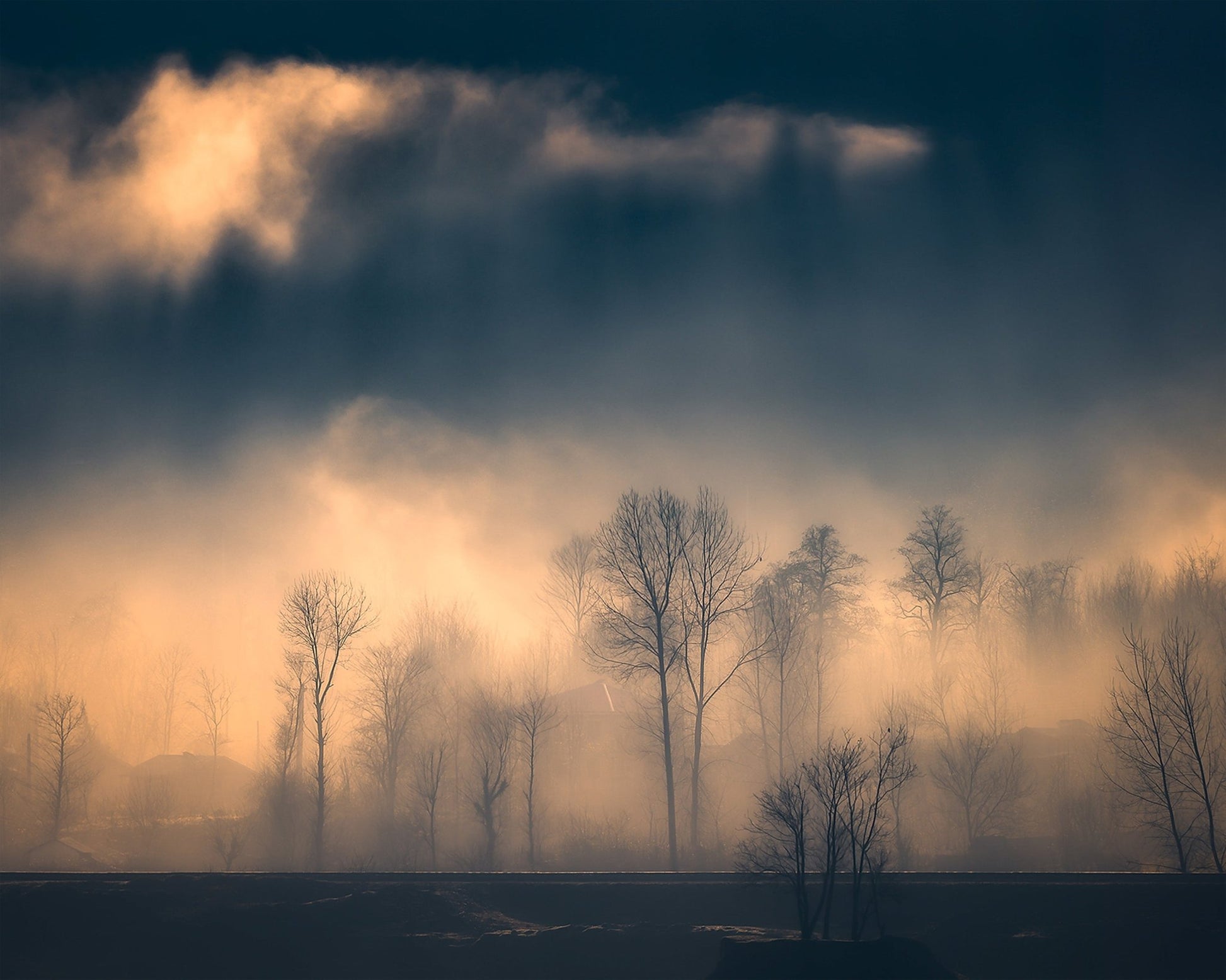 Foggy Trees Golden Light Landscape