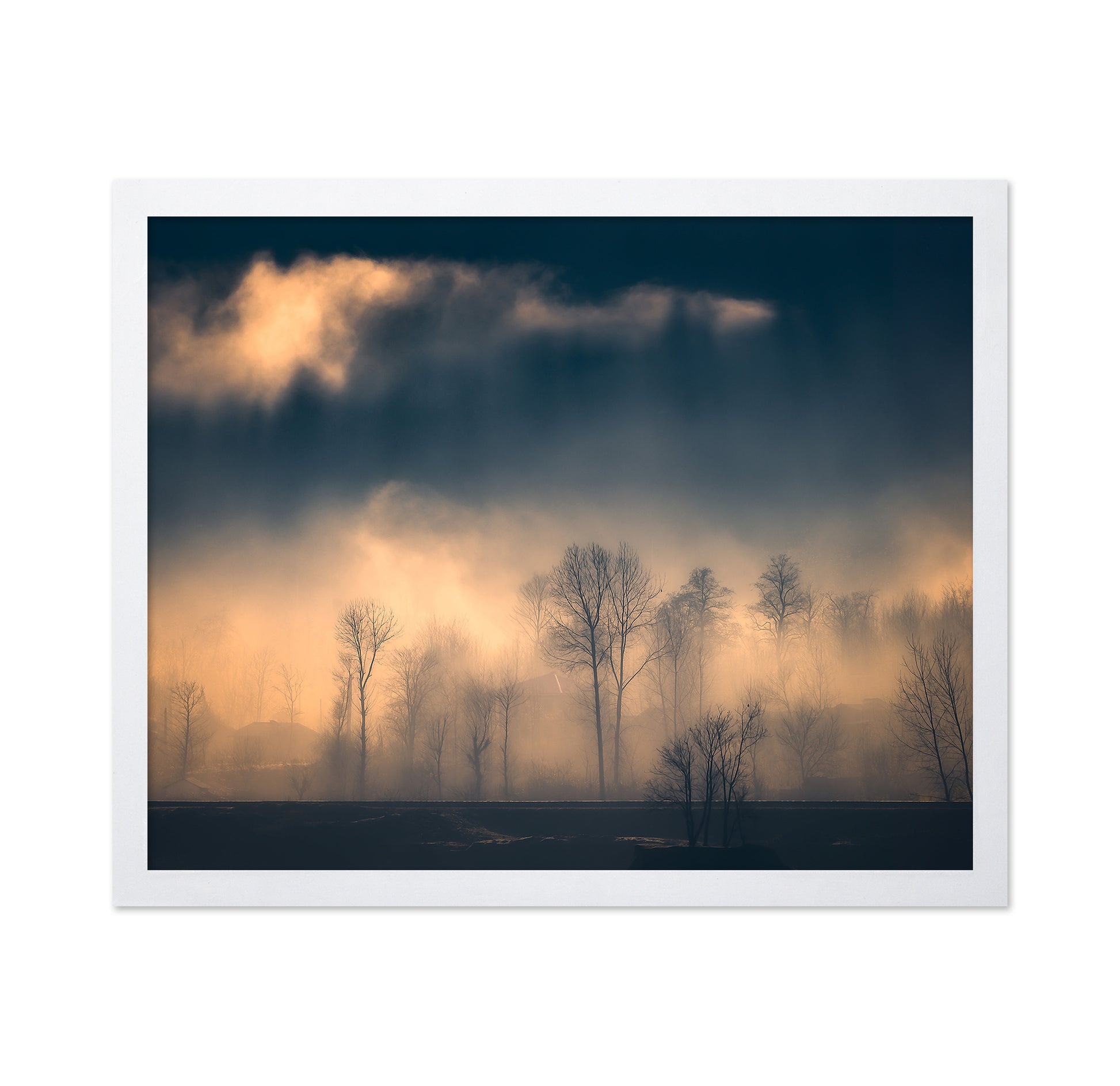 Foggy Trees Golden Light Landscape