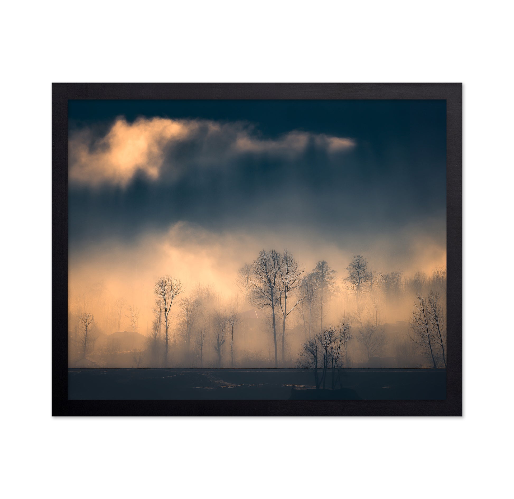 Foggy Trees Golden Light Landscape
