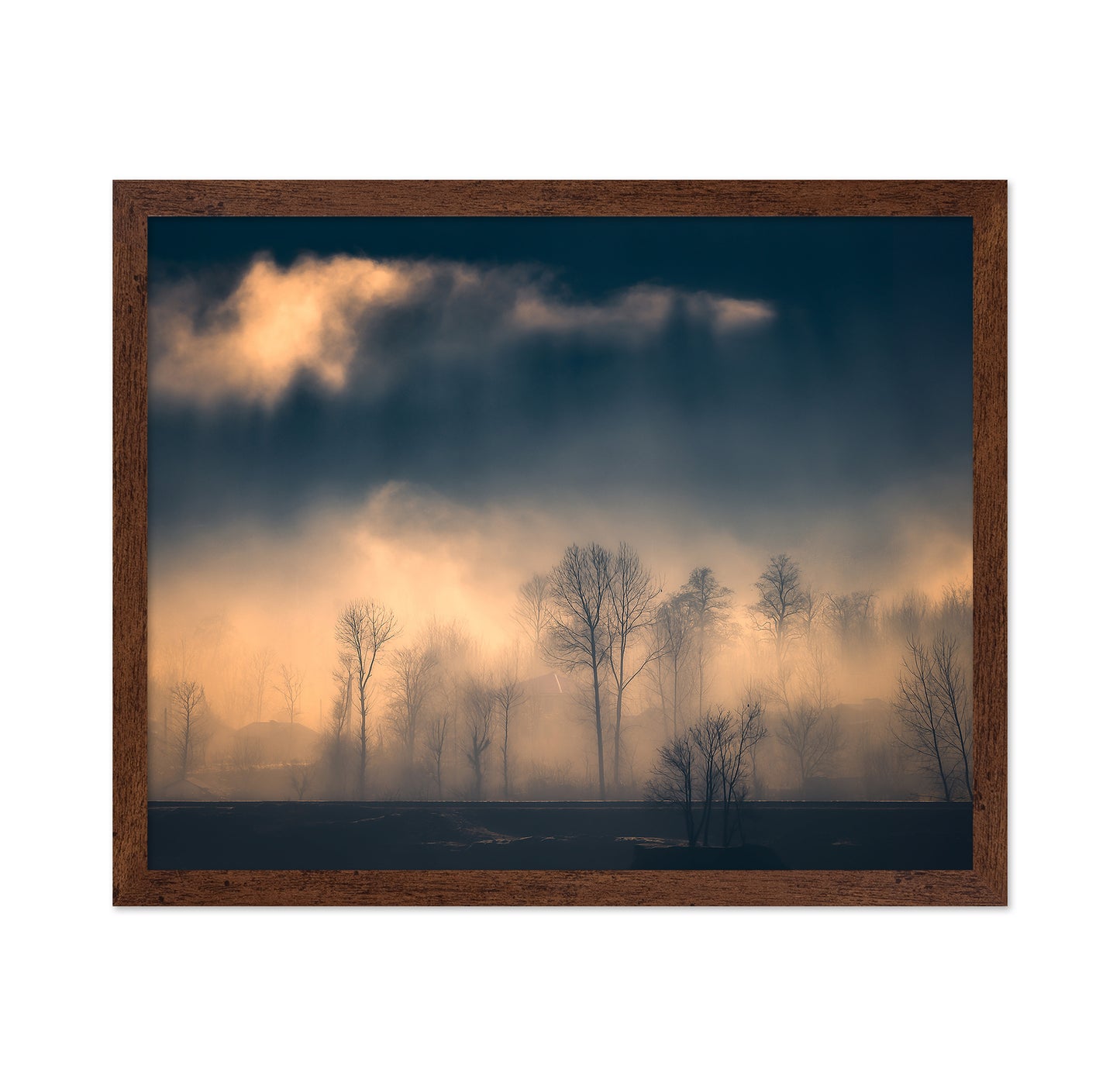 Foggy Trees Golden Light Landscape