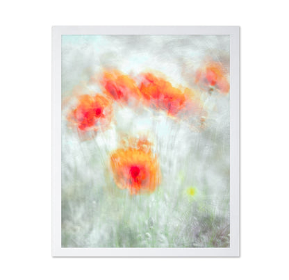 Soft Red Poppy Flowers Abstract