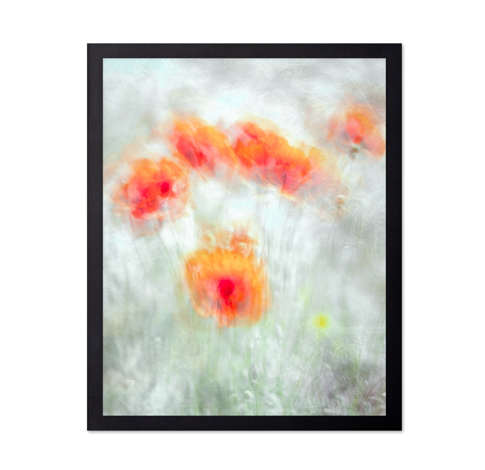 Soft Red Poppy Flowers Abstract