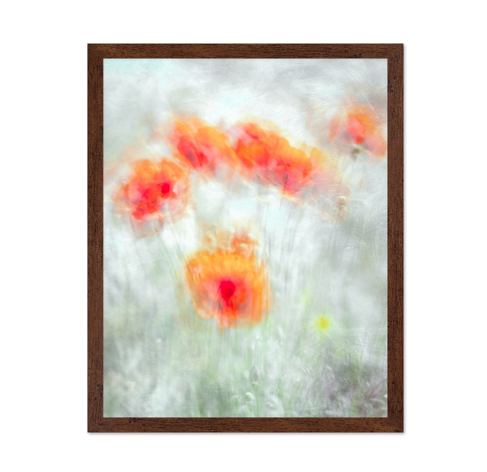 Soft Red Poppy Flowers Abstract