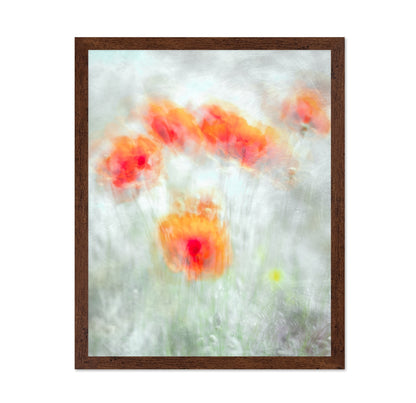 Soft Red Poppy Flowers Abstract