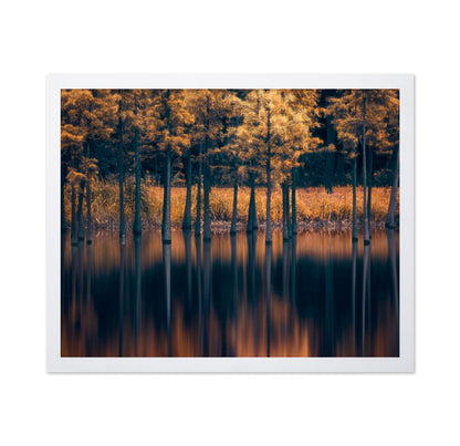 Golden Trees Reflection Lake