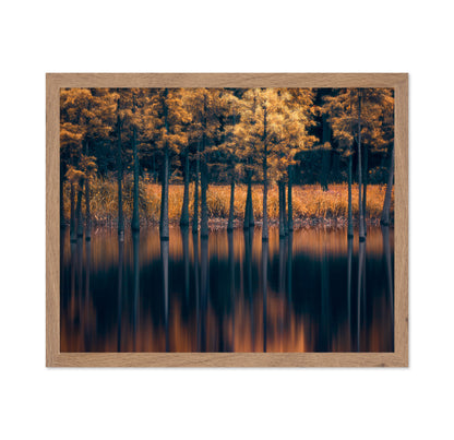 Golden Trees Reflection Lake