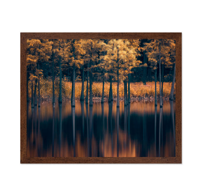 Golden Trees Reflection Lake
