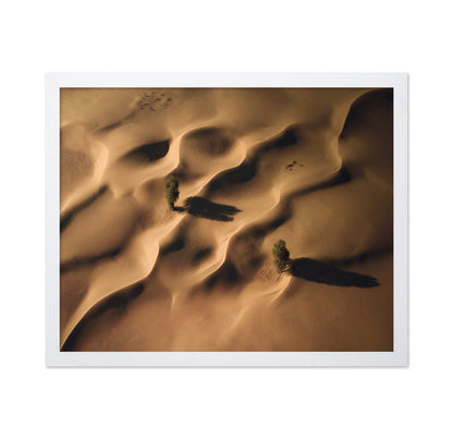 Desert Dunes Trees Aerial Landscape