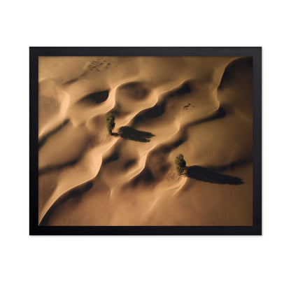 Desert Dunes Trees Aerial Landscape