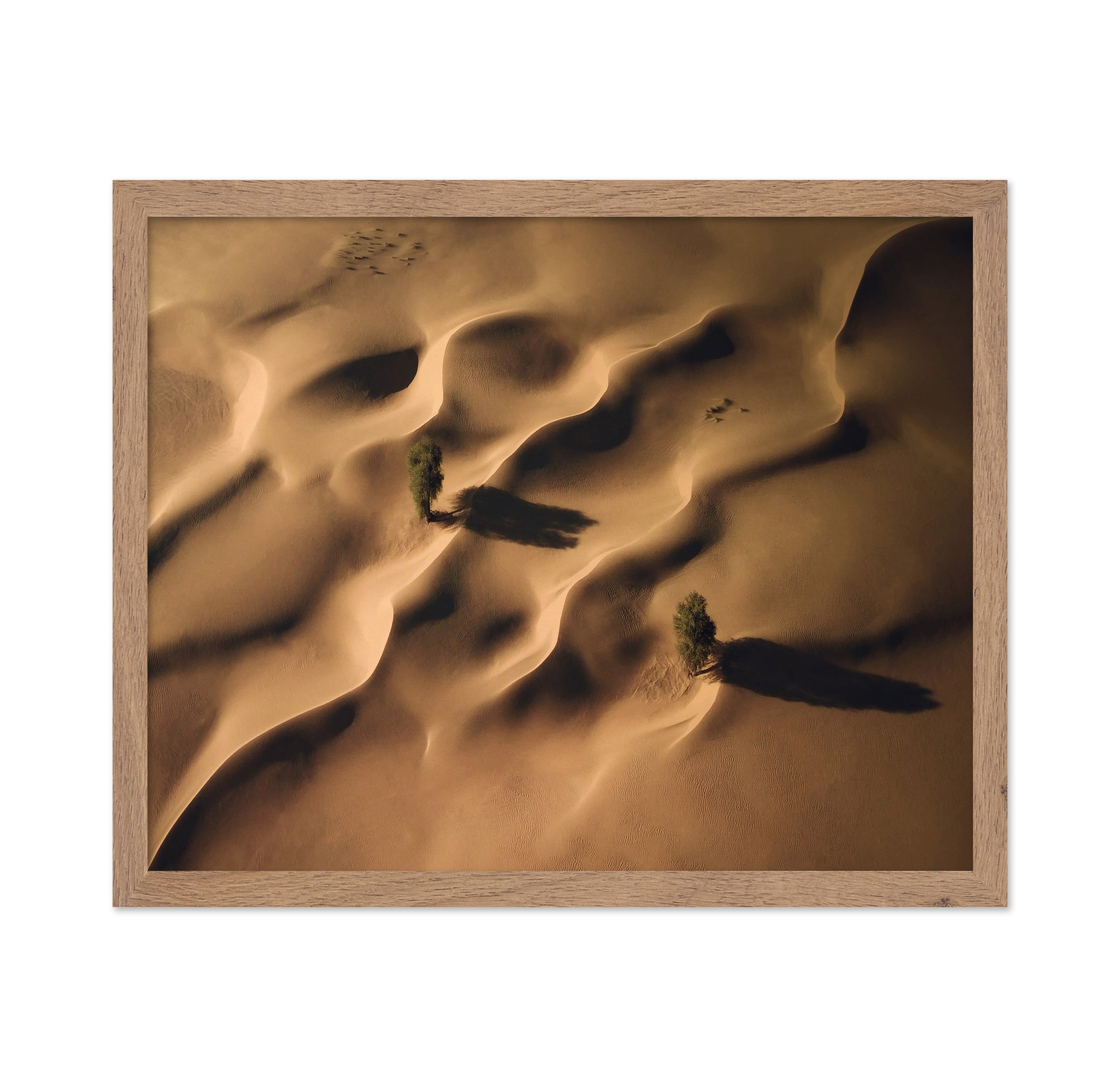 Desert Dunes Trees Aerial Landscape