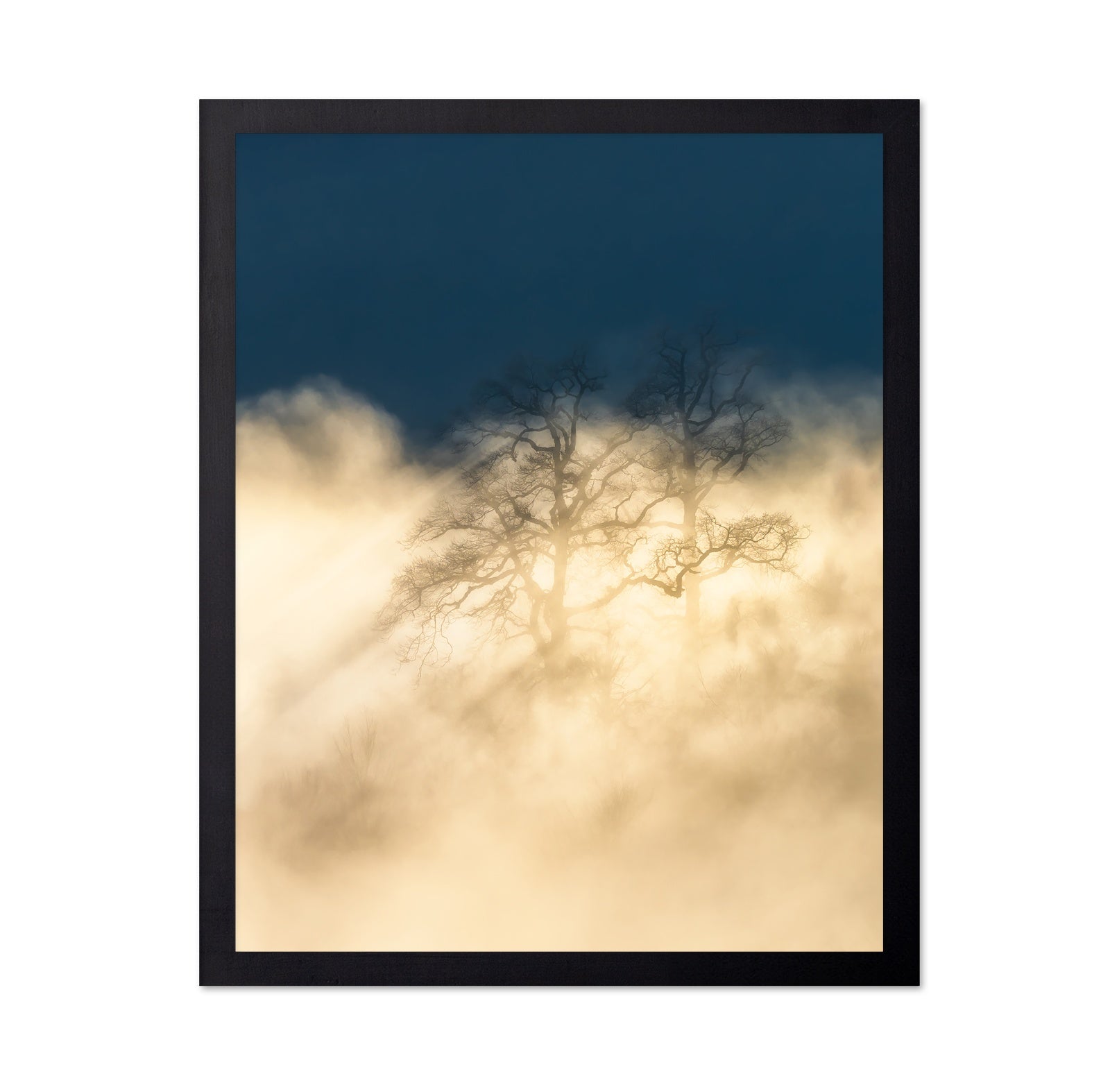 Foggy Tree Golden Light Dreamscape