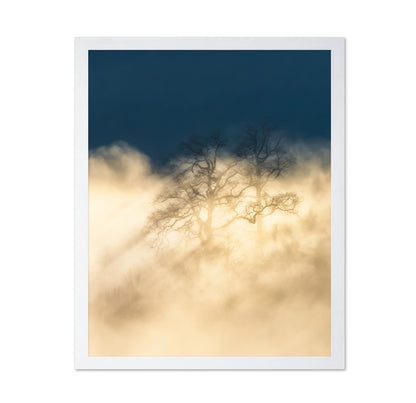 Foggy Tree Golden Light Dreamscape