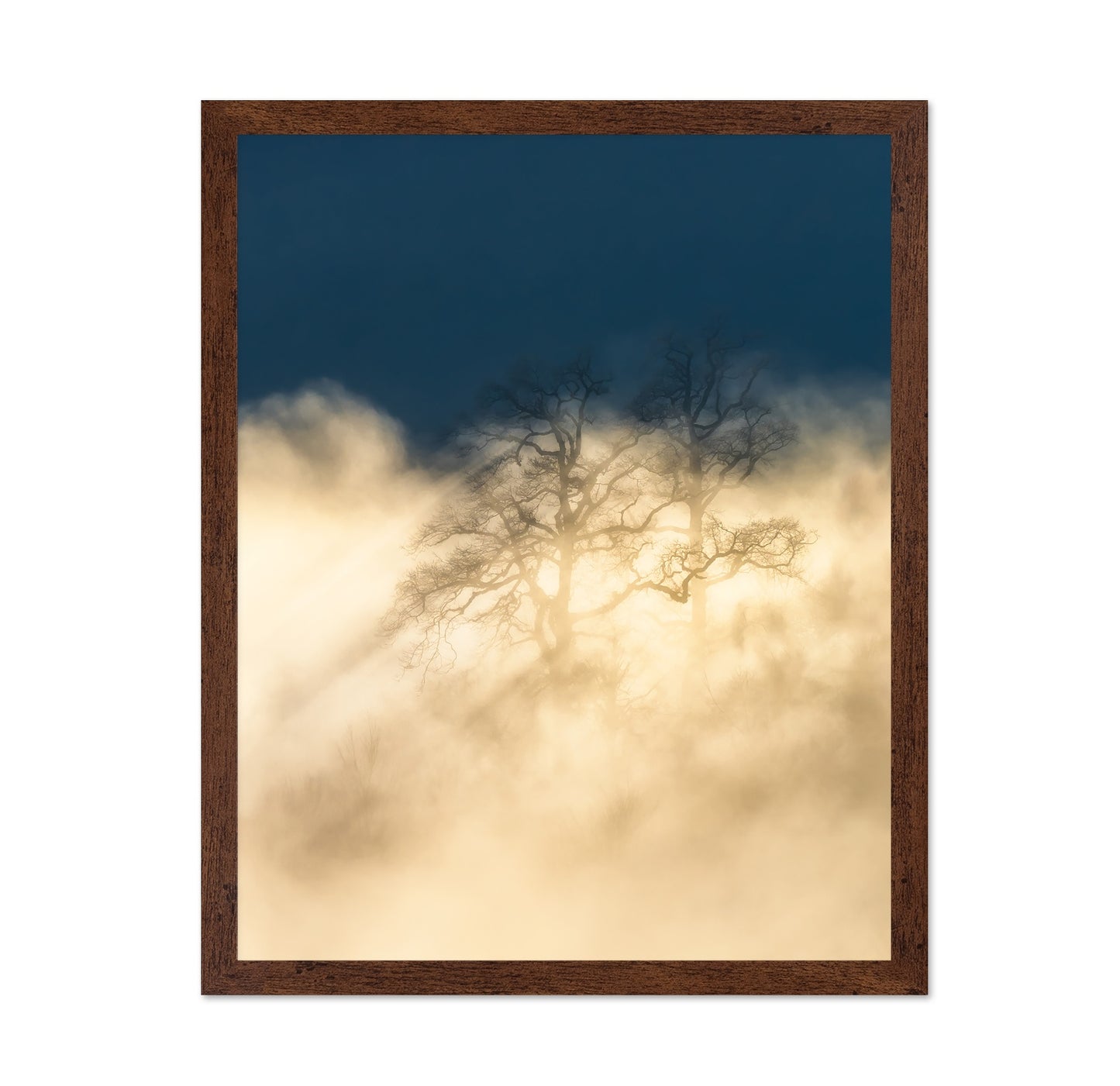 Foggy Tree Golden Light Dreamscape