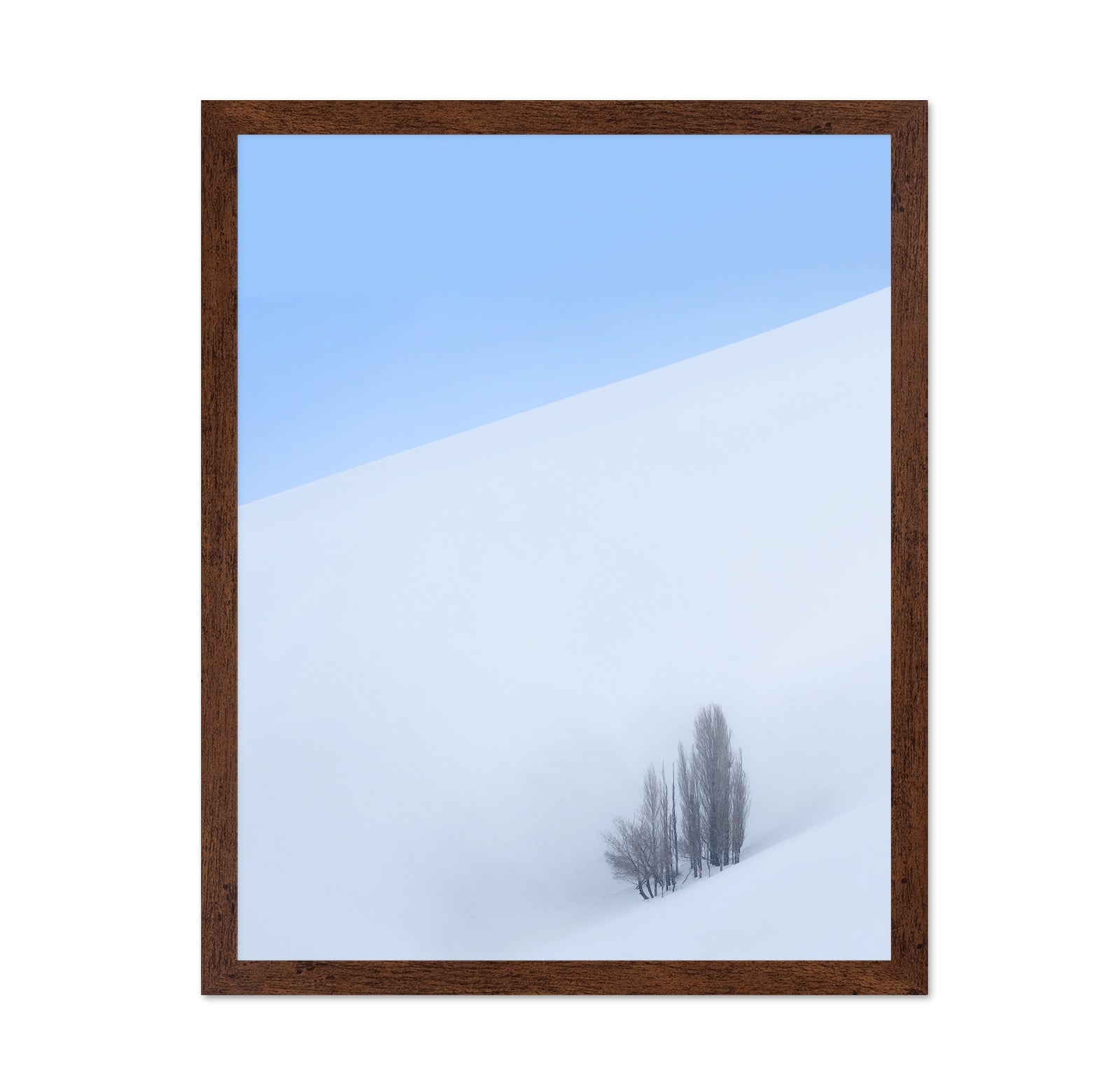 Lone Tree Snow Minimal Landscape