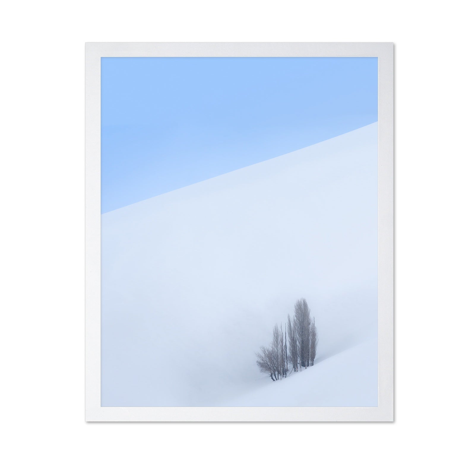 Lone Tree Snow Minimal Landscape