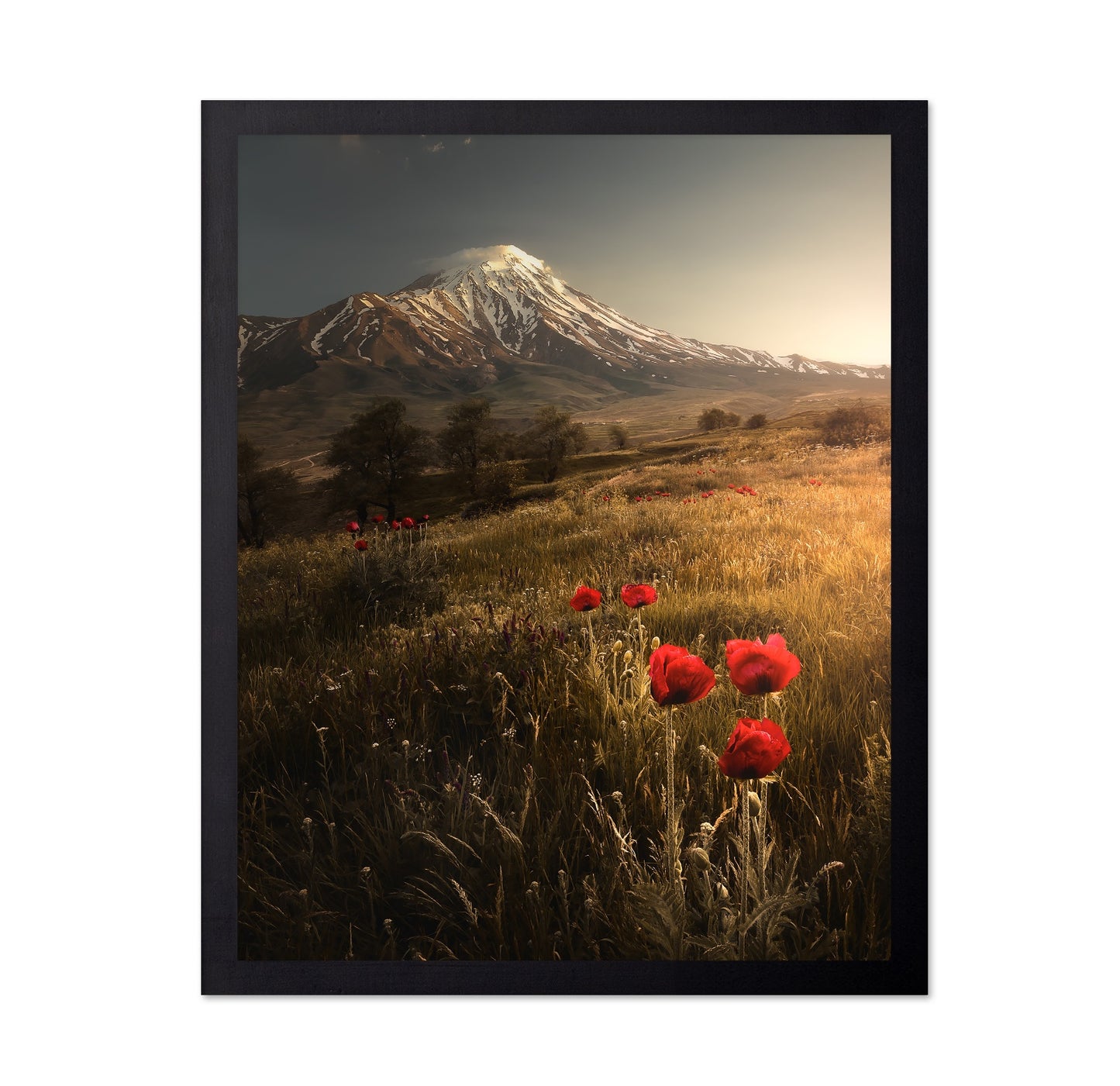 Poppy Field Sunrise Mountain Landscape