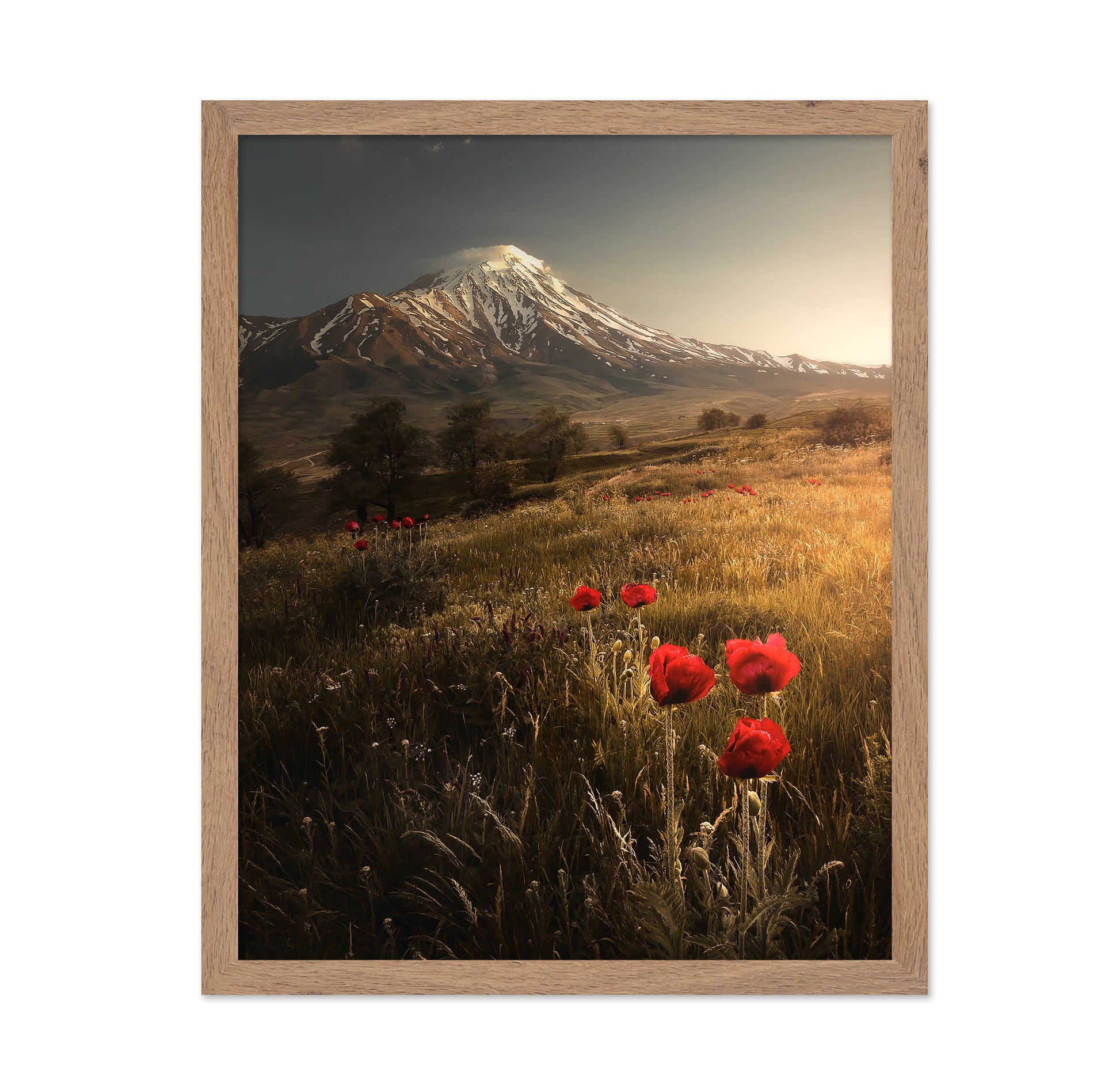 Poppy Field Sunrise Mountain Landscape