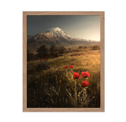 Poppy Field Sunrise Mountain Landscape
