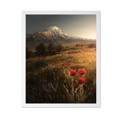 Poppy Field Sunrise Mountain Landscape