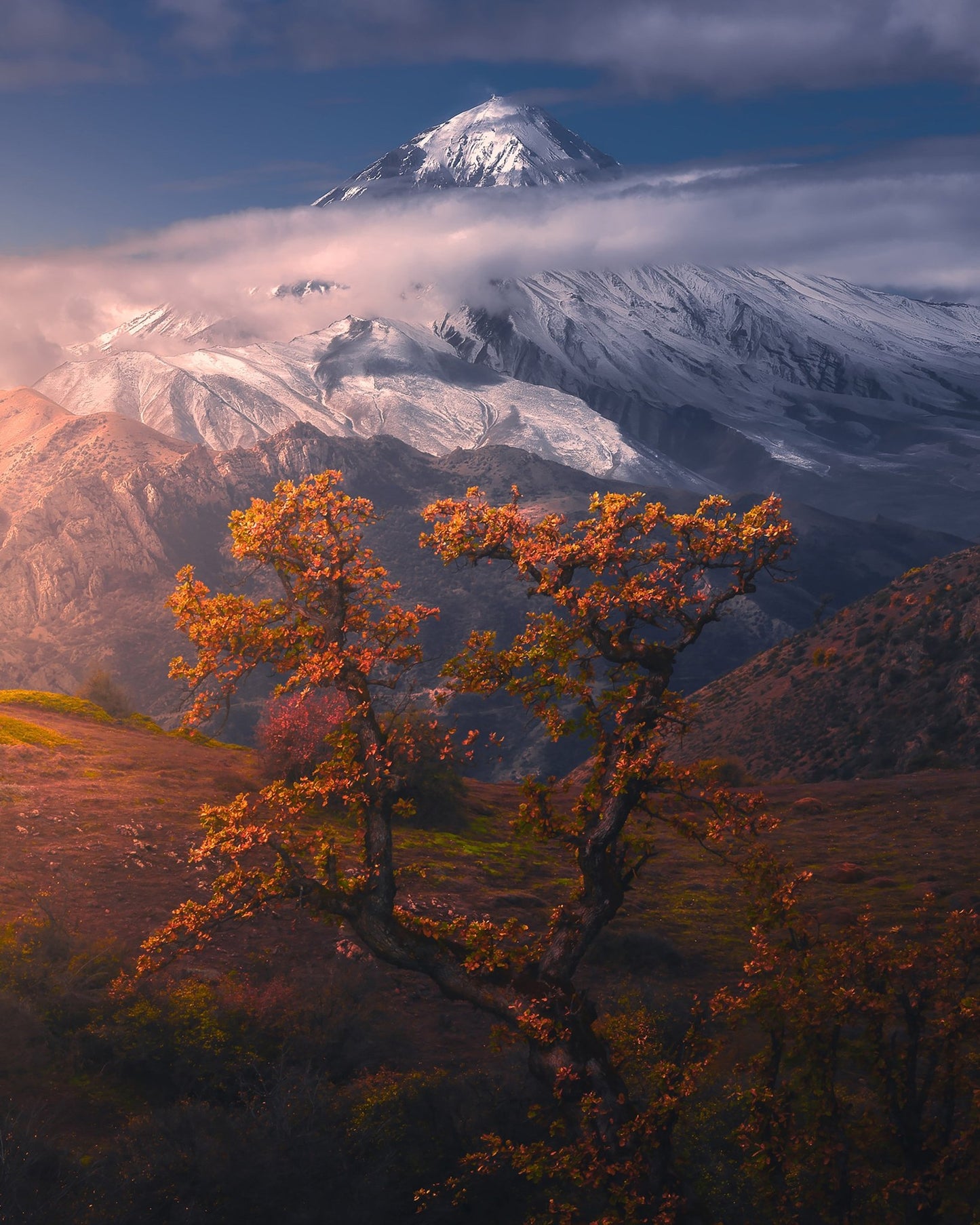 Autumn Trees Mountain Peak
